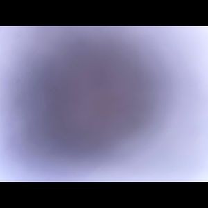 Meet your Posher, Gianna